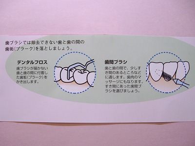 �ǥ󥿥�ե����Ȼ��֥֥饷